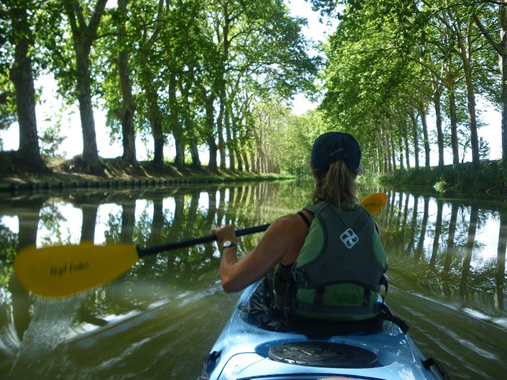 Kayaking down an avenue of reflected plae trees