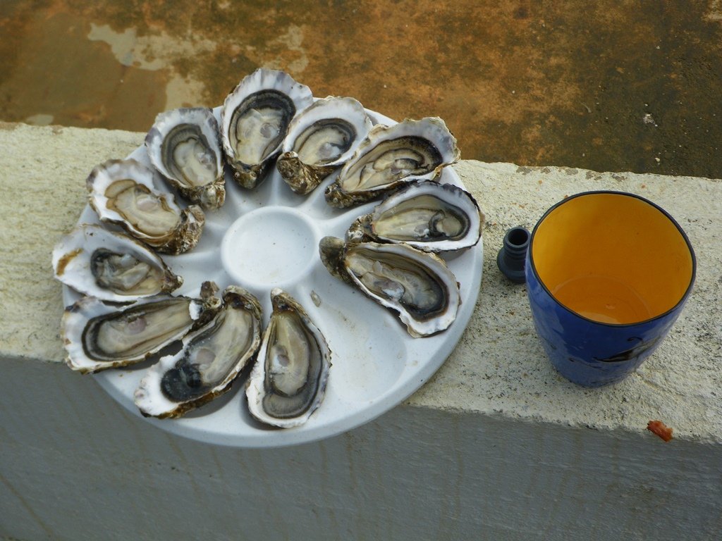 A plate of oysters, and a mug of Champagne